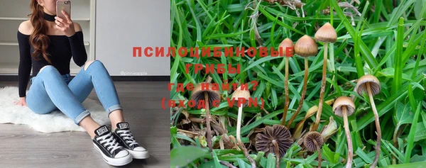 ешки Волоколамск