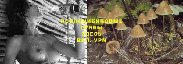 ешки Волоколамск