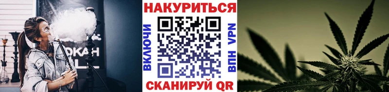 Бошки Шишки семена  магазин продажи   Зеленокумск 